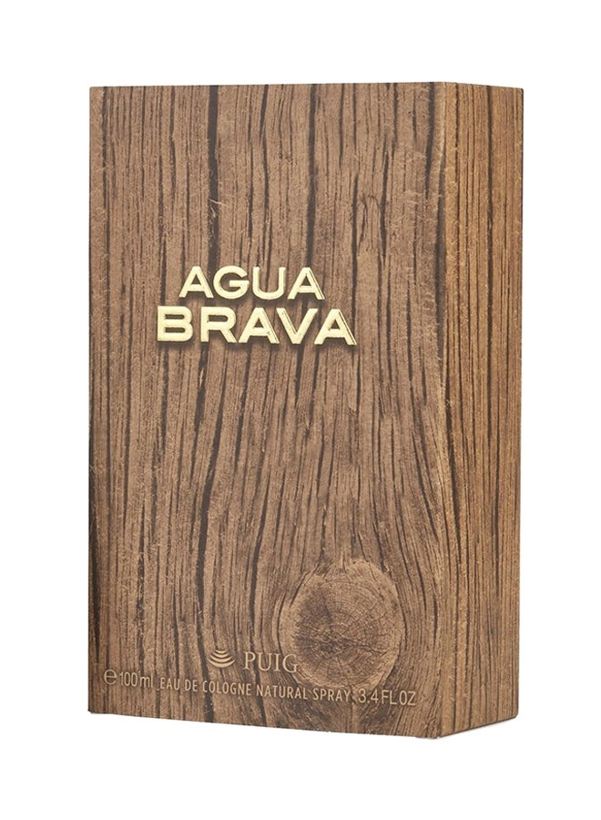 Agua Brava Brave - 100ml