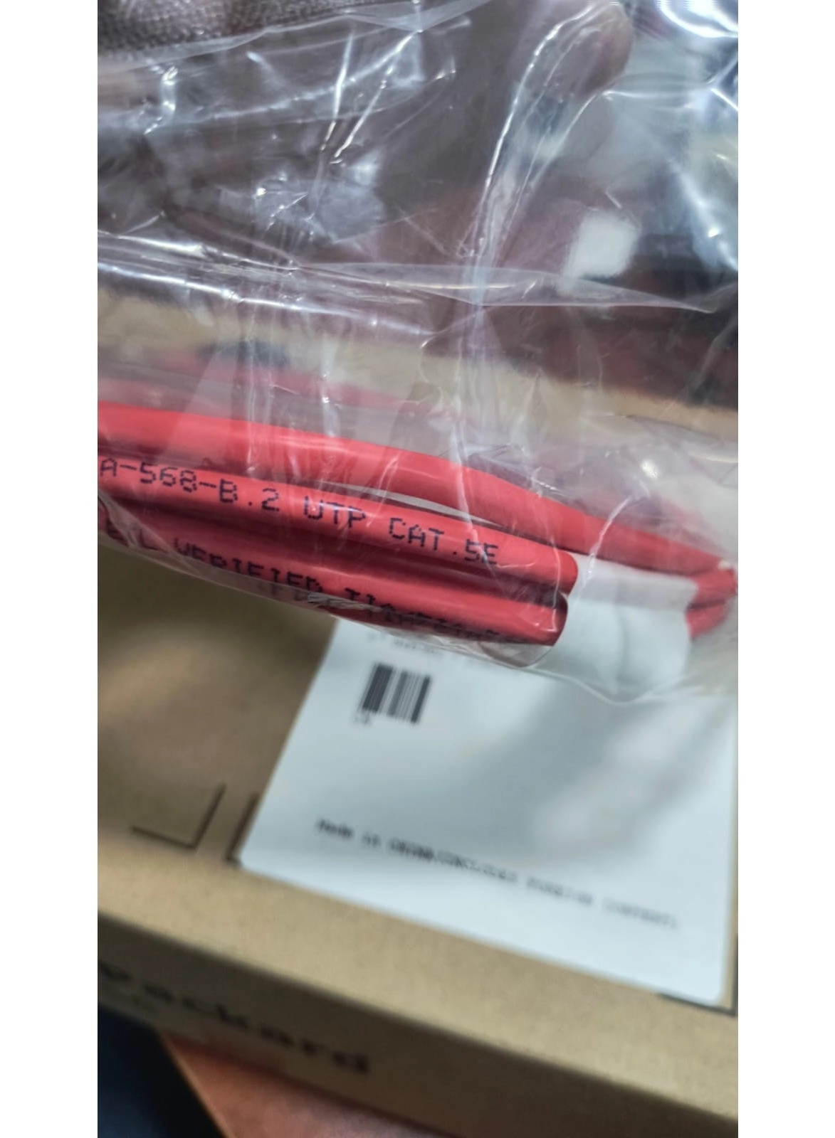 CAT5e Networking Cable - 12 ft