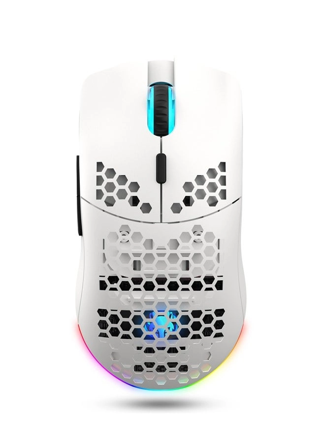 Dual Mode Bluetooth Mouse - Wireless
