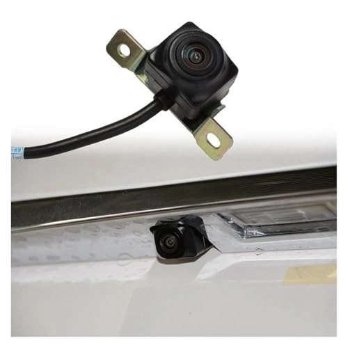 T21-7900301 - Night vision