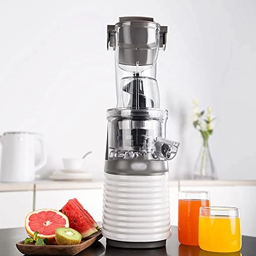 Electric Fruit Juicer
