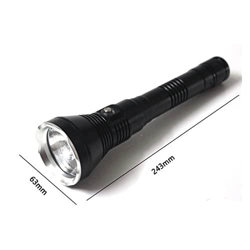 Professional Submersible Light