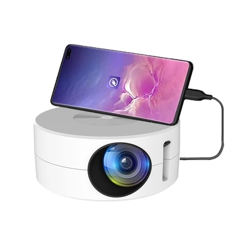 Mini Projector 10 ANSI 320 * 180