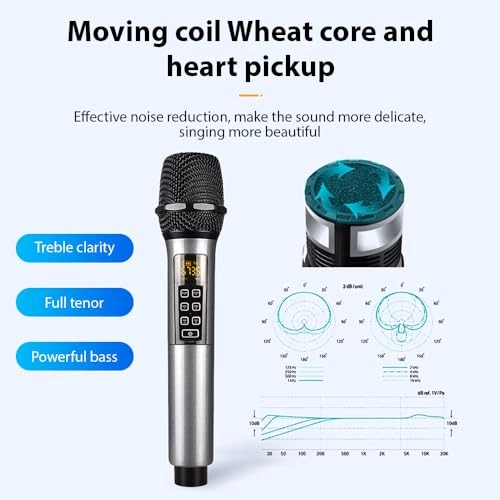 Weless Microphone System - 2 Microphones 2.4G