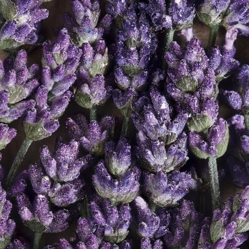 Cool Water Eau de Toilette Gift Set