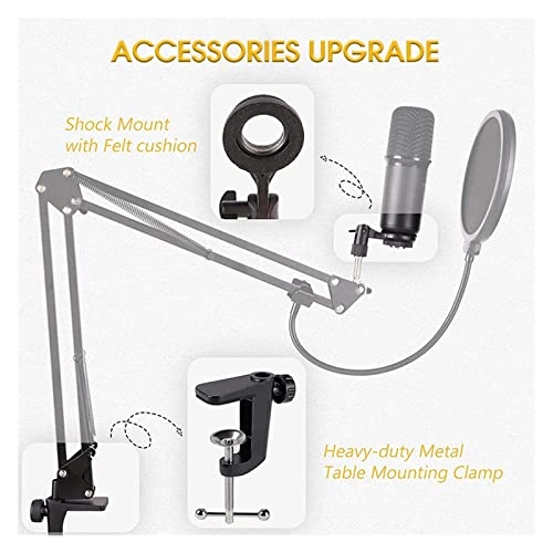 ss1/i46574 USB Microphone