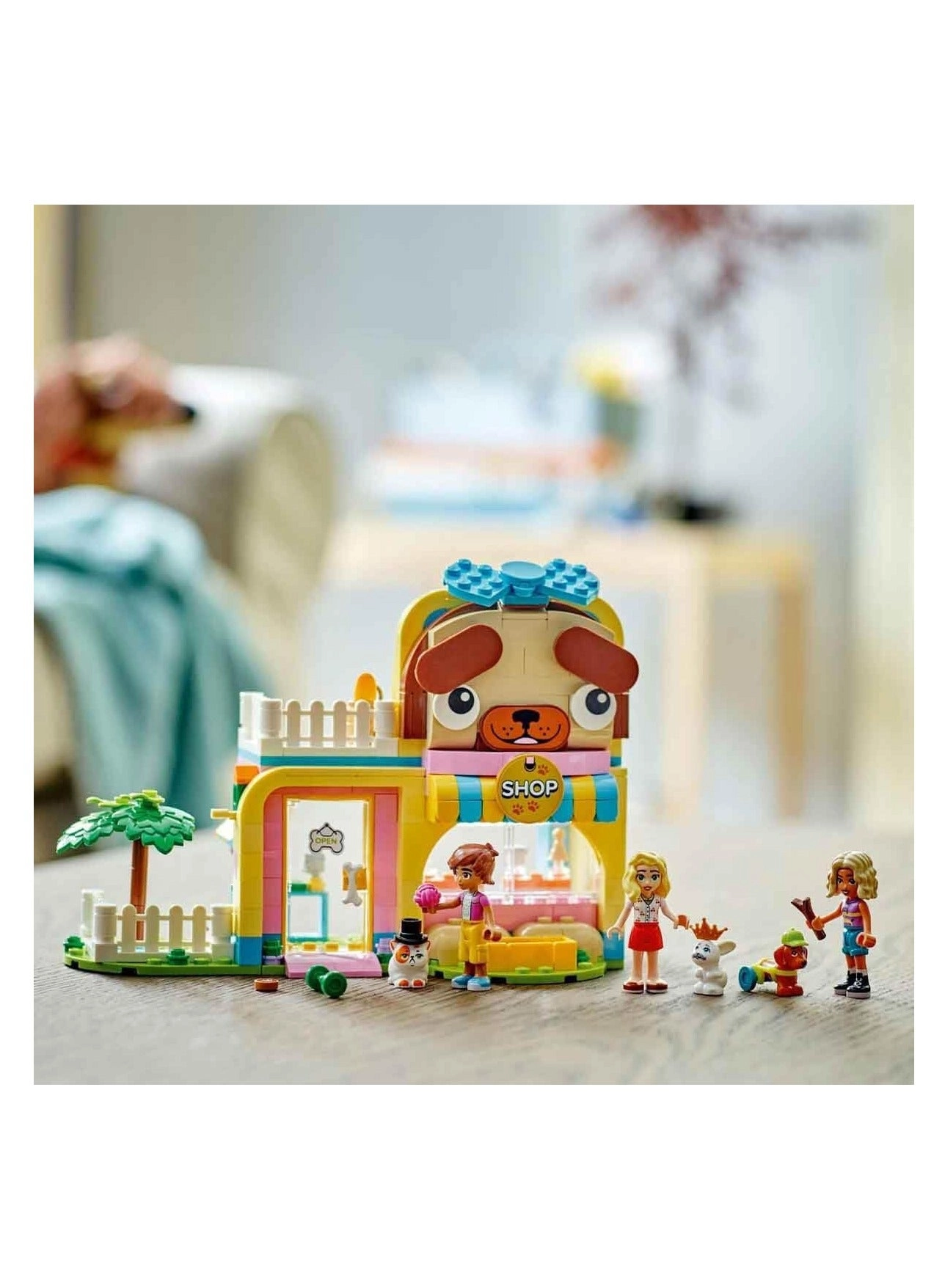 Friends Pet Accessories Shop (42650)