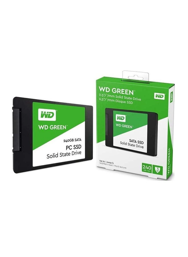 SATA (SSDWD240GBGREEN) - 240GB
