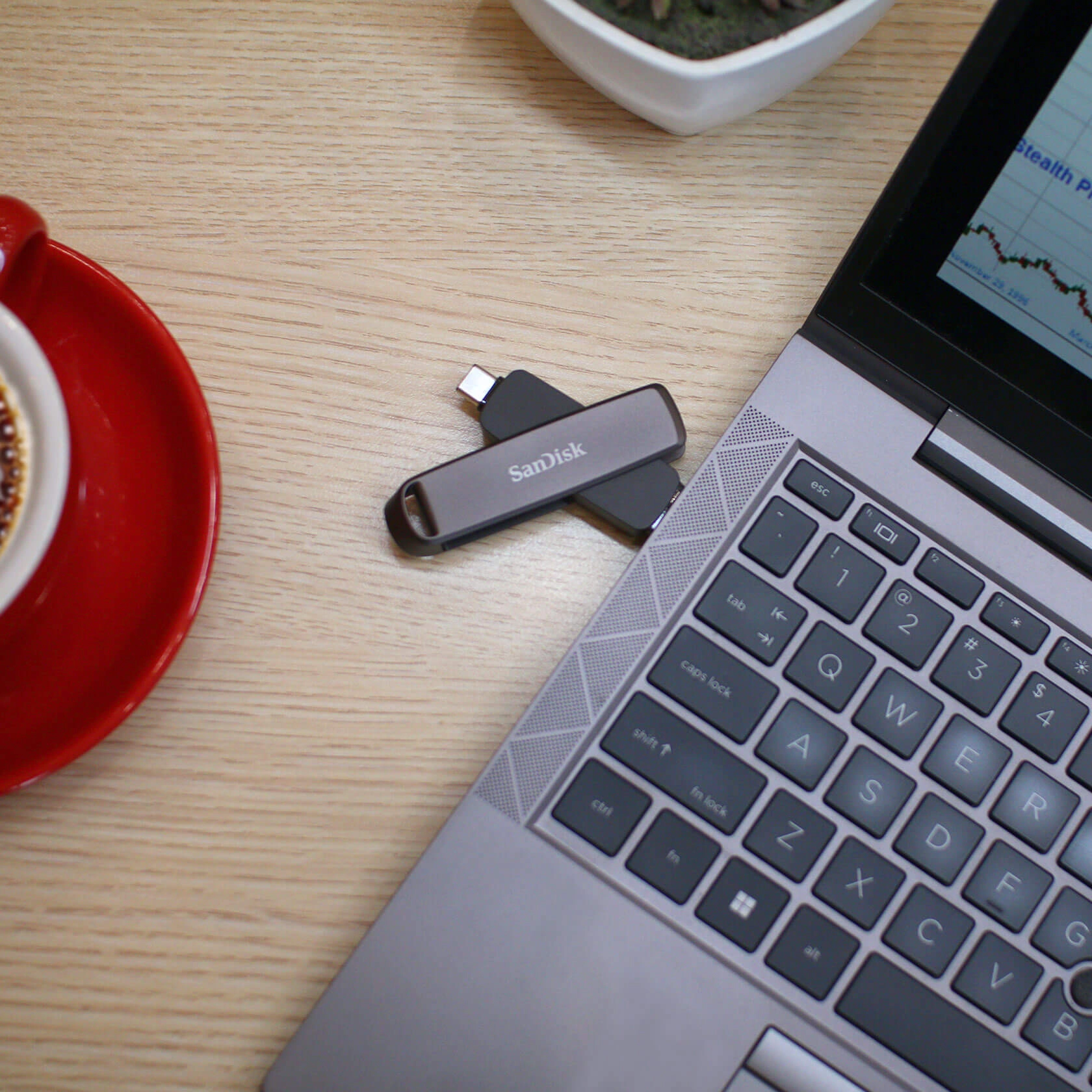 USB-C Flash Drive - USB 3.2 256 GB