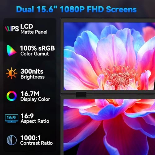 S156P31D - 1920x1080 23.8 Inches