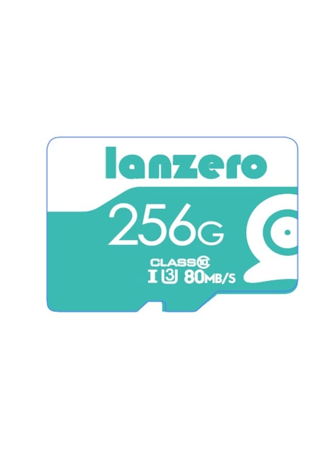 Lanzero LZMC256G - 256GB