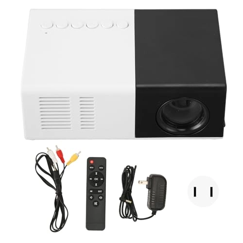 Mini Projector - 25-30 ANSI Lum 480x360P
