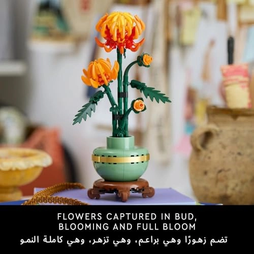 Icons Chrysanthemum (10368)