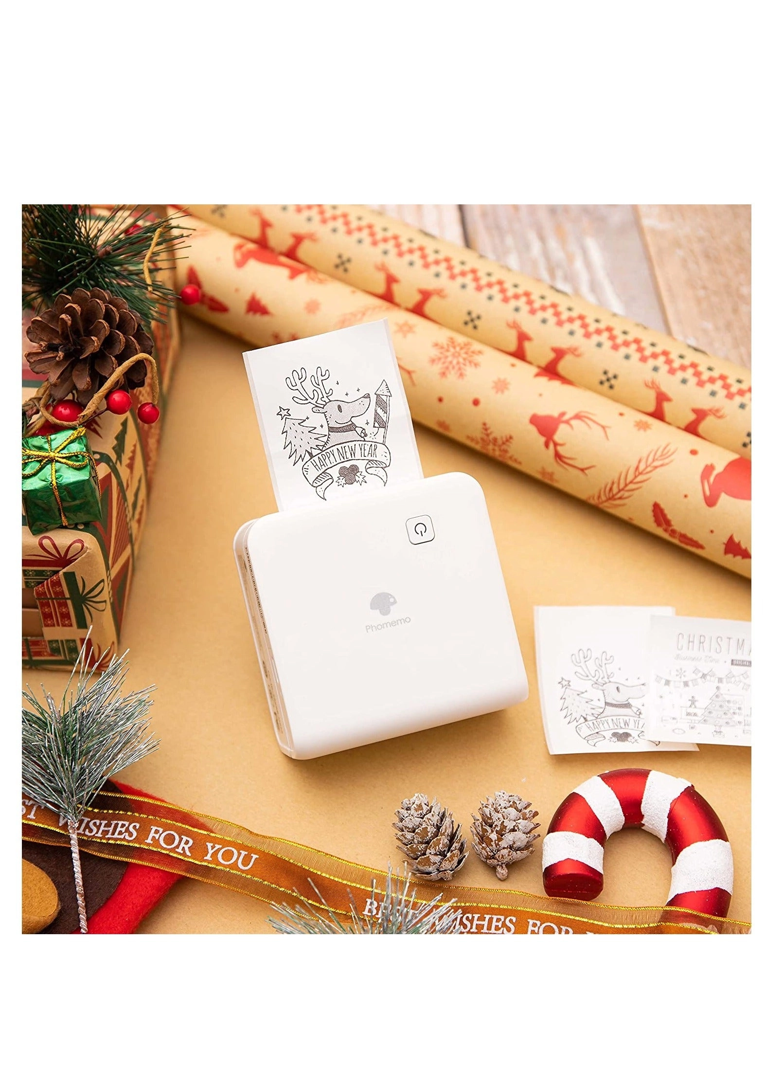 Mini Printer M02PRO - 300 DPI White