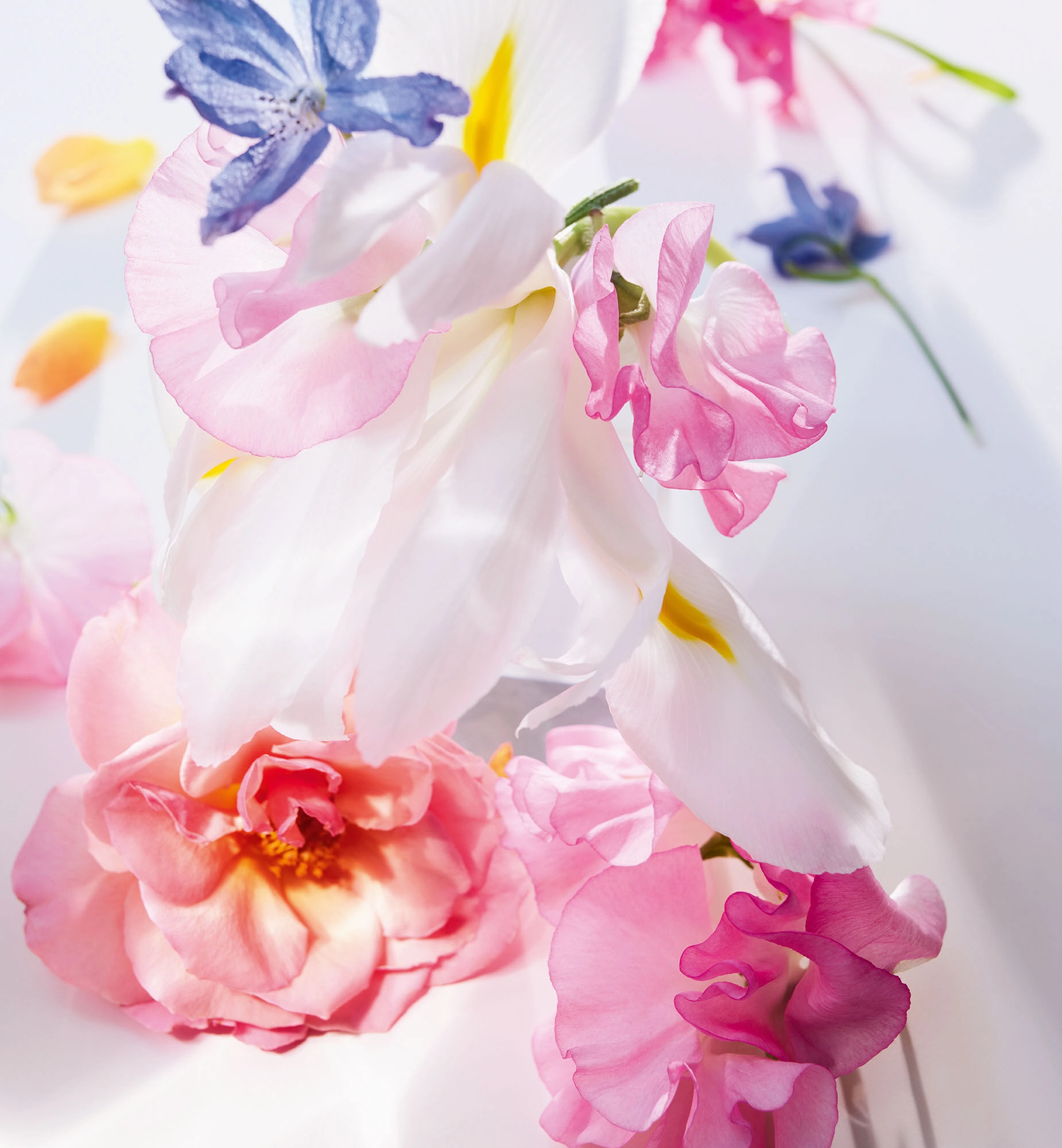 Miss Dior Eau de Parfum - 150 ml