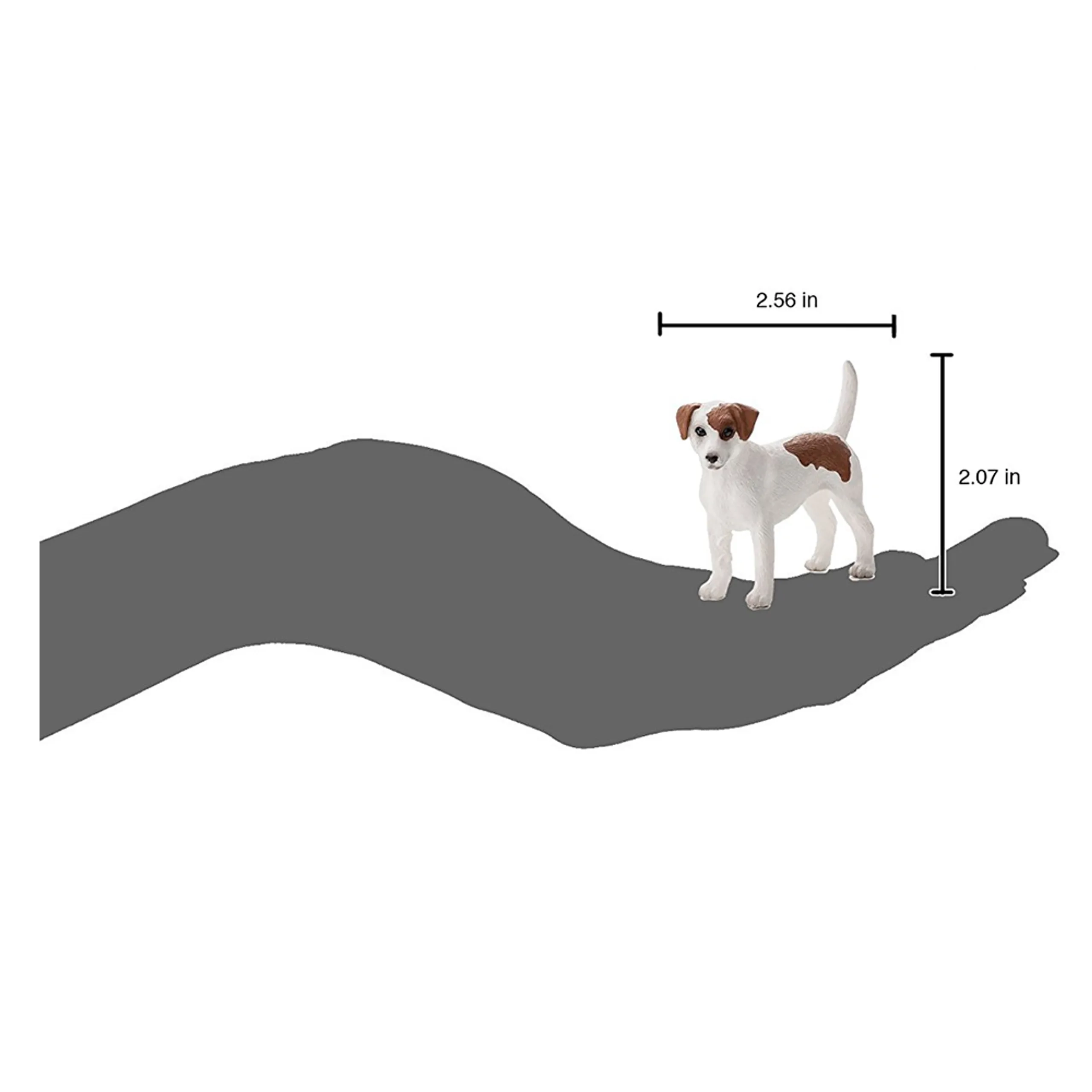 Mojo Jack Russell Terrier