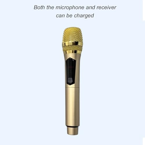 5idfj9z7e8-12 - 1 Microphone