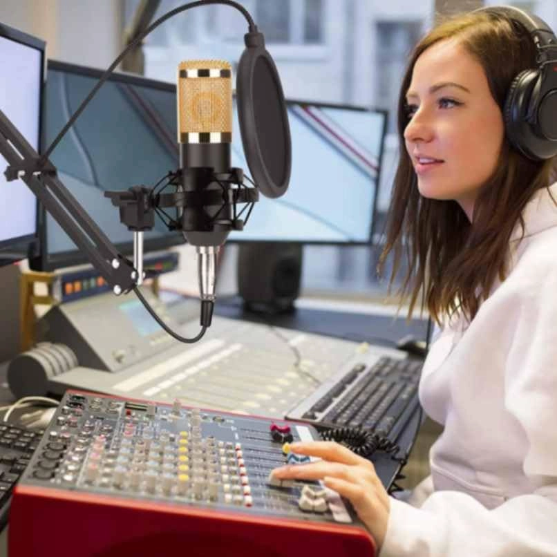 Dynamic Condenser Microphone Kit XLR Microphone