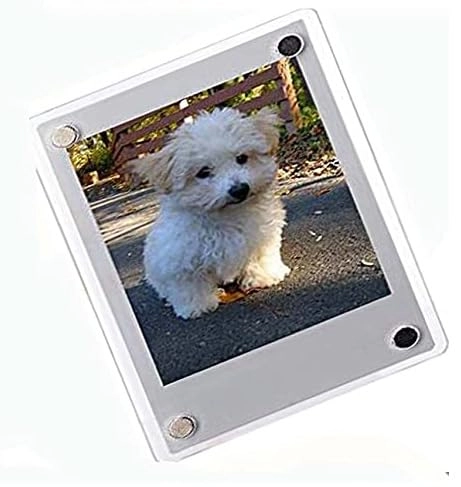 Mini 12 - Blossom Pink + Protective Case + Magnetic Lucite Frame + Film - 20 Sheets