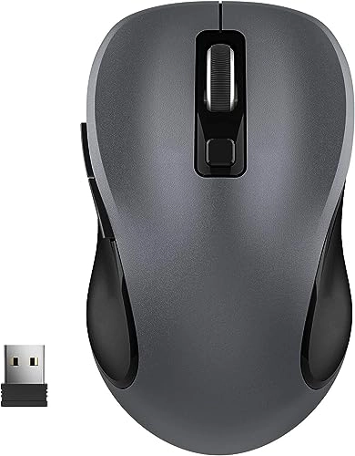 2.4G Ergonomic Mouse - Radio Frequency