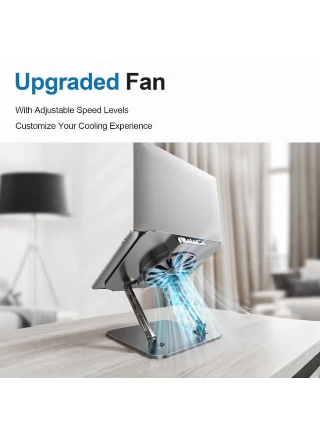 Rock Stand - 17-inch