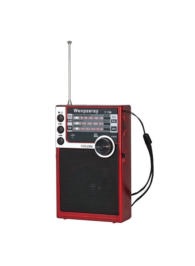 WENPZERAY Y-706 - Portable