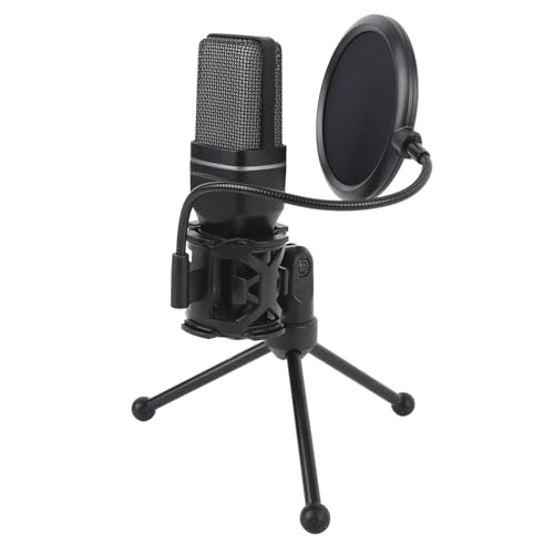 Annadues6425axq0n USB+Wireless Microphone