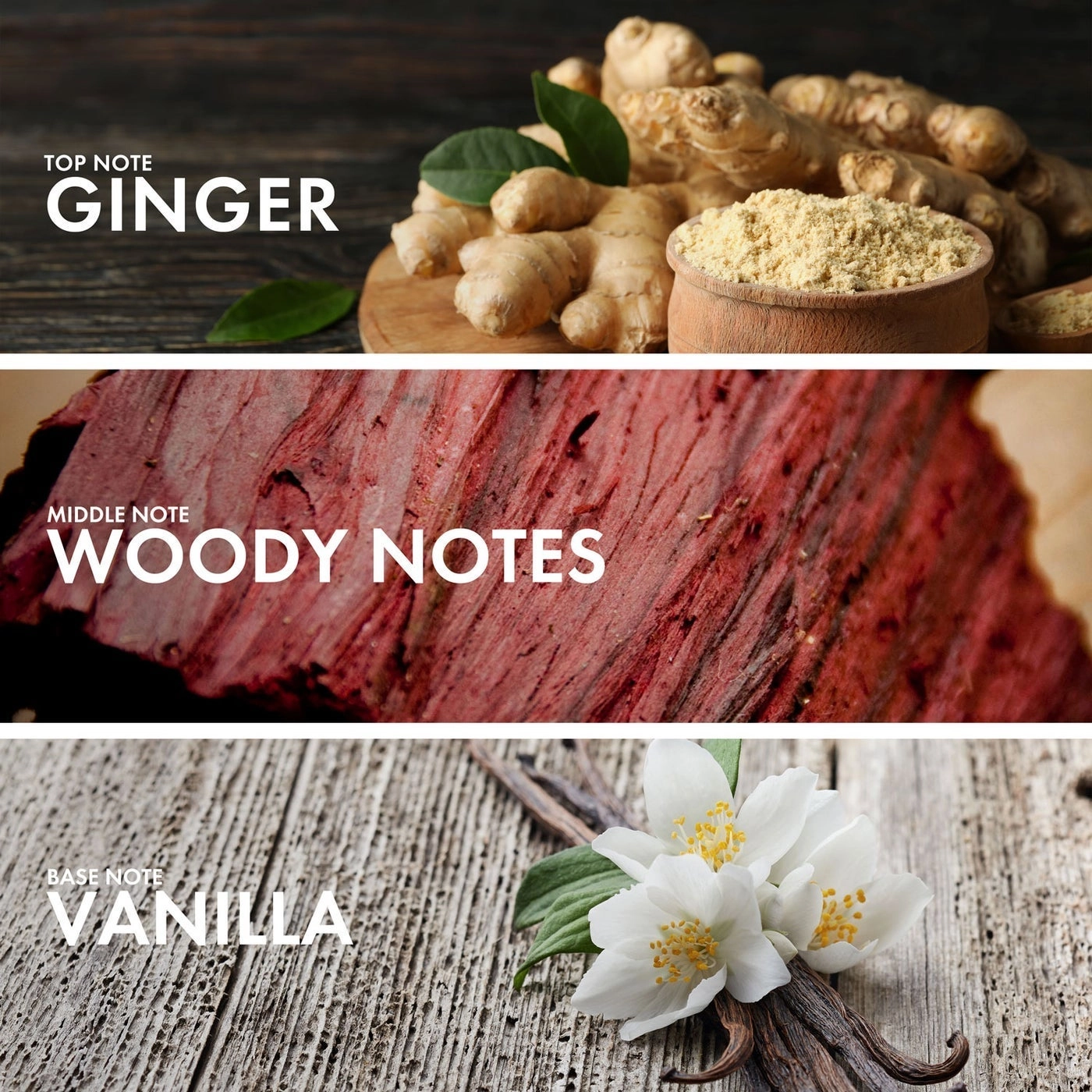 WOODY GINGER Eau de Parfum 50 ml