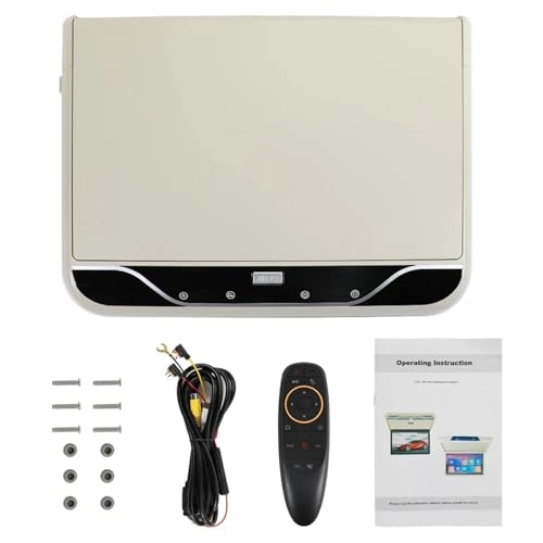 Roofmount LCD Monitor - 19in