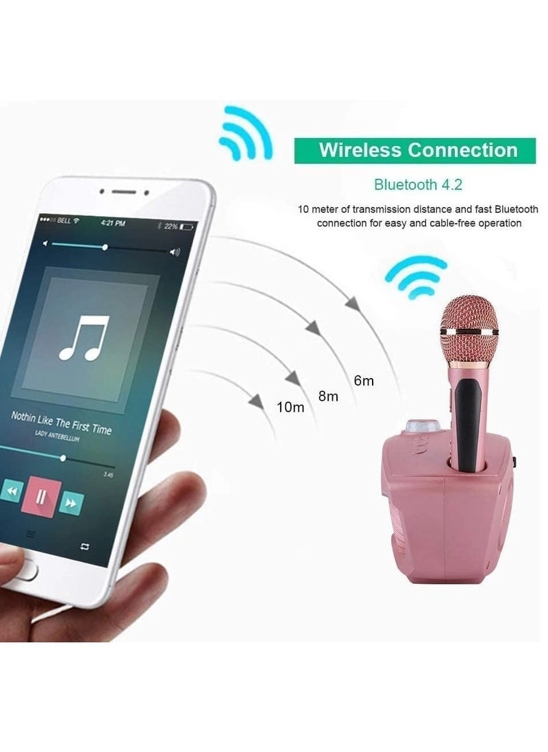 SD-508 - Dual Wireless Microphones