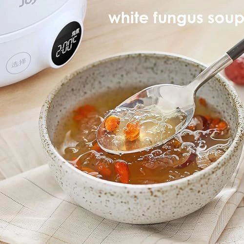 Mini Electric Kettle