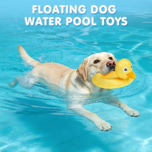 Turtle - Floating Squeaky + Duck