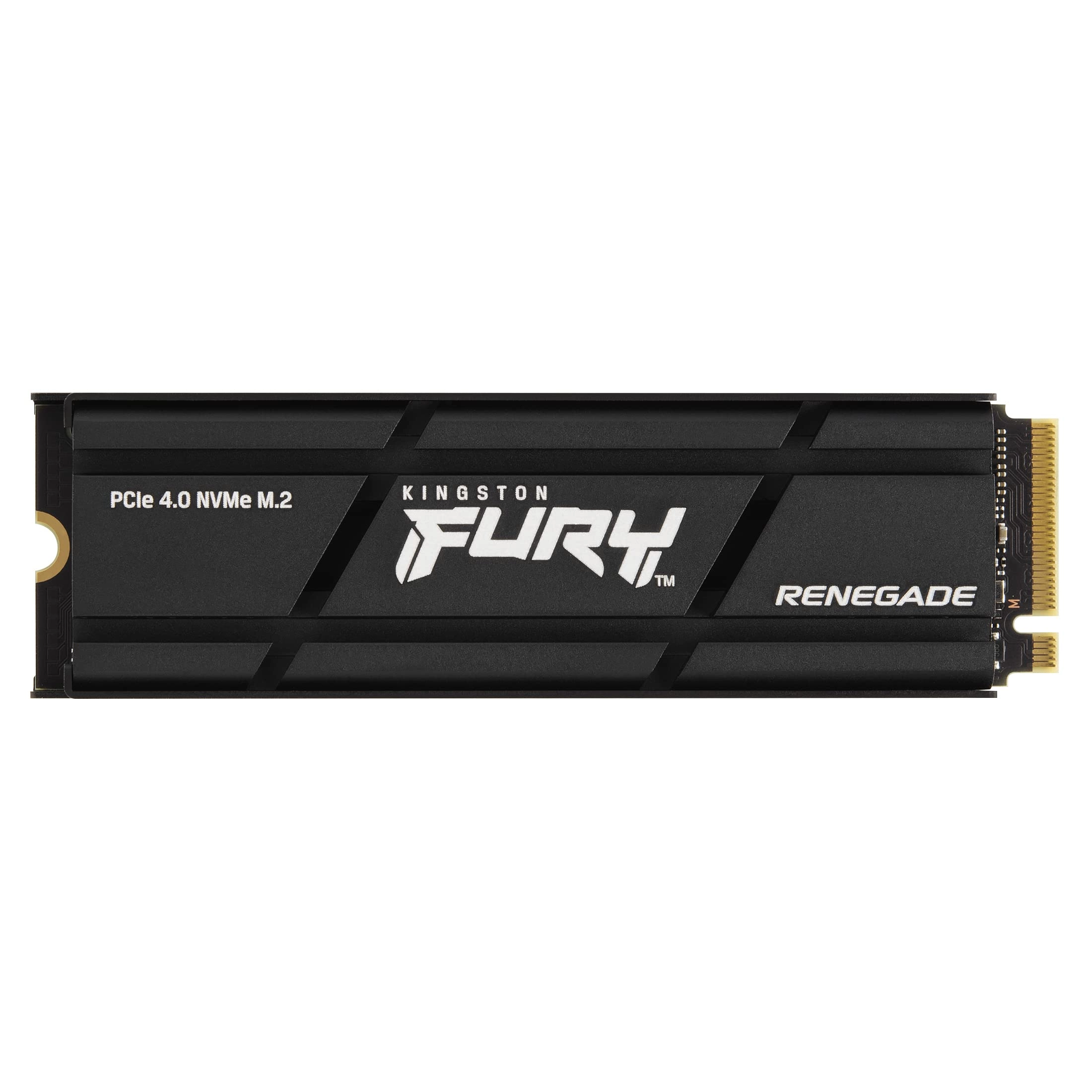 Kingston Technology FURY Renegade - 1000GB M 2