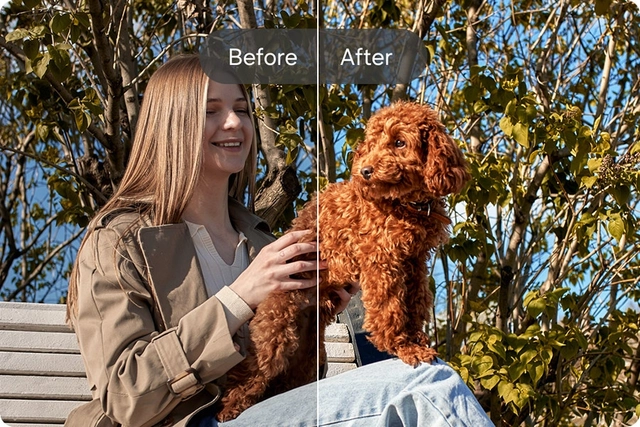 Edit suggestion. Remaster on the fly