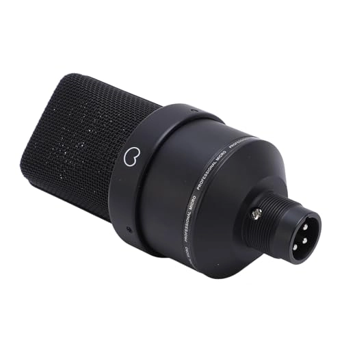 ASHATAkary6ep7i5-11 XLR Microphone