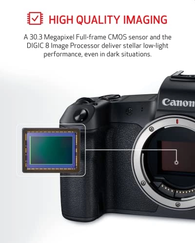 EOS R + RF 24-105mm + RF 85mm