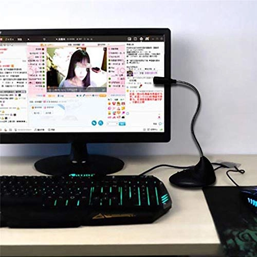 Mini Gooseneck USB Microphone