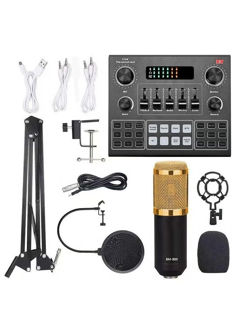 V9 Wired Microphone + BM800 Wired Microphone