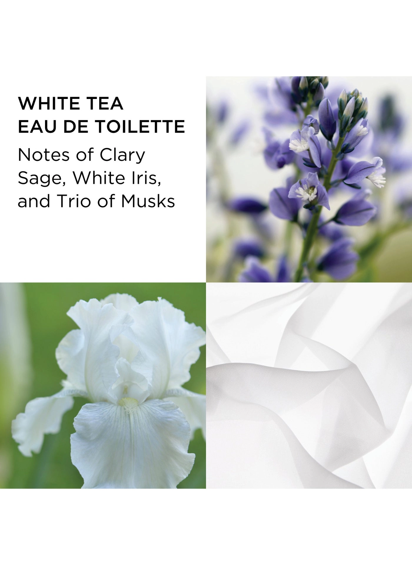 White Tea Eau de Toilette + White Tea Eau de Parfum + White Tea Wild Rose Eau de Toilette