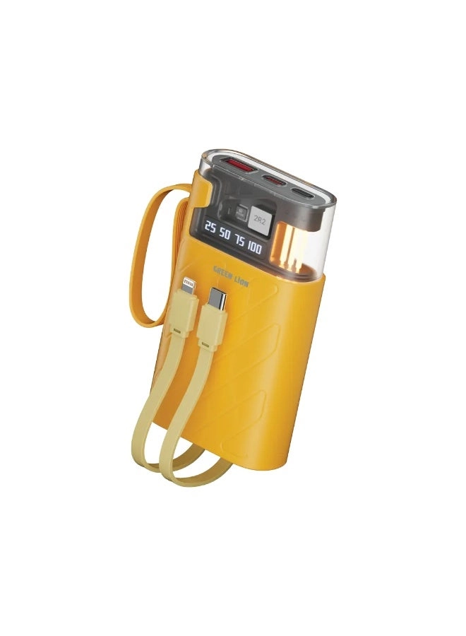 Elixir Vault - 10000 Watt-hour 22.5W