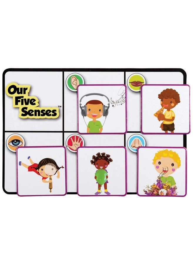 Our 5 Senses Game - 3+