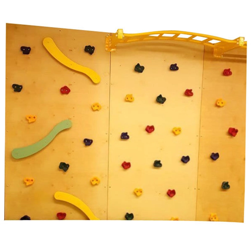 Rock Face Climbing Wall with Monkey Bars - 240 x 120 cm Suitable for 3 to 9 yrs