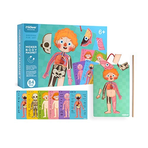 MIDEER Human Body Puzzle Human Anatomy - 6 years+ 90 pieces