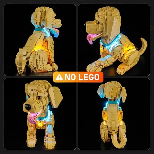 Golden Retriever Puppy - 11384 Easy Installation