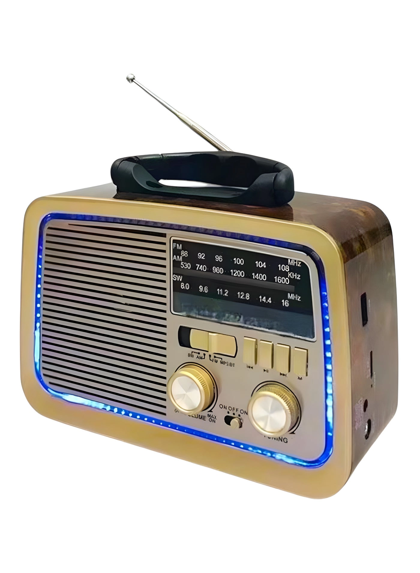 Bluetooth Radio Speaker - FM