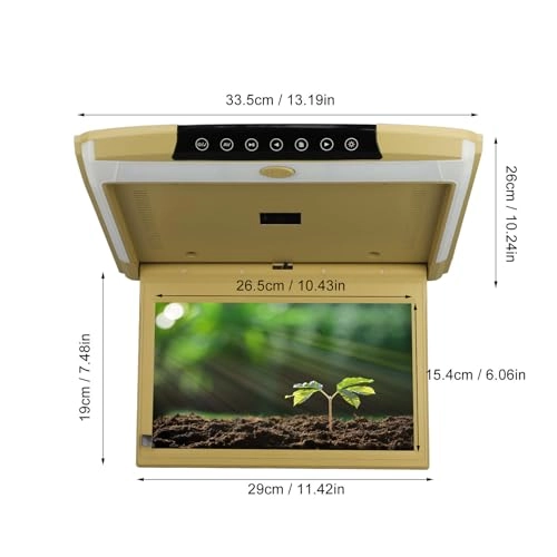 Car Roof Monitor - 11.6in
