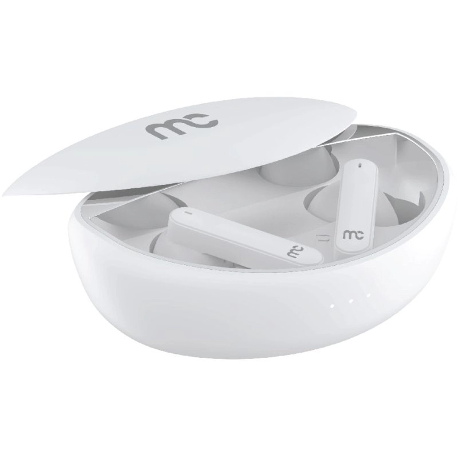 TWS-300 Wireless Earbud