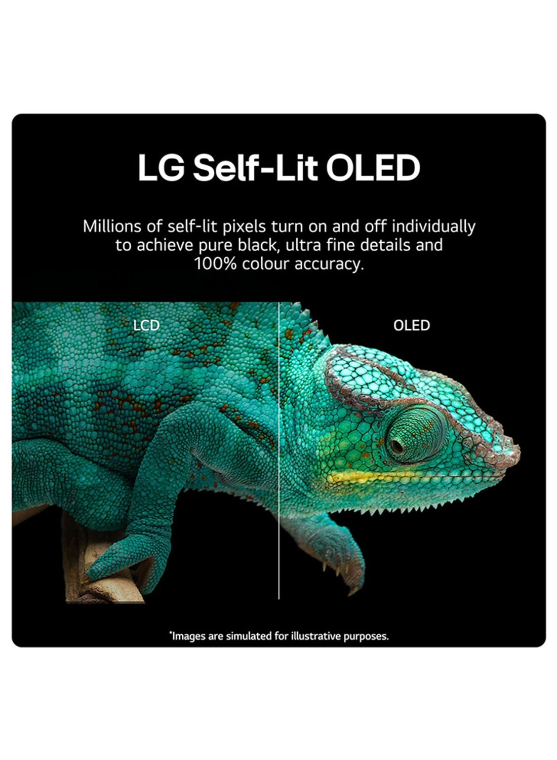 OLED55B46LA.AMAE - 55 inch