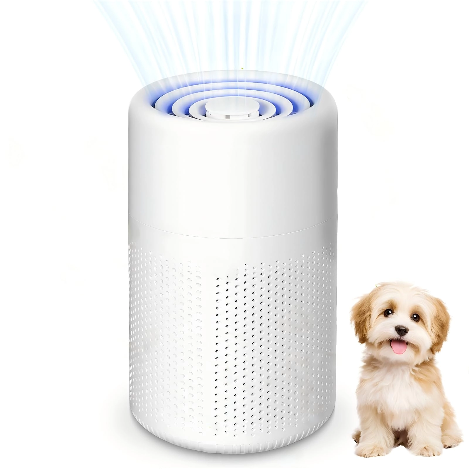 ChaneeHann HEPA Air Purifier - 5W USB Aromatherapy Night Light