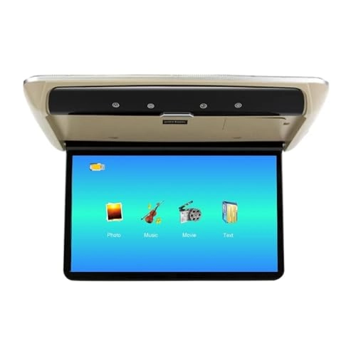 Car Roof Monitor - 13.3 Inch